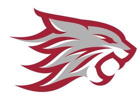 California State University, Chico banner logo